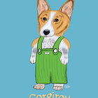 Blue Welsh Corgi Portrait