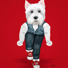 Red "Westie Side Story" - Westie on stage caught in a rumble. Doing a snap dance