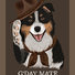 Australian Shepherd tipping his hat - G`day mate!