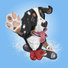 Bernese Mountain Dog Riding a Snowboard