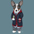 Blue Cardigan Corgi graduates from Corgnell University.