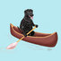 Black Lab paddling in a canoe.