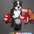 Pit Bull changing the tire in a Nascar Pit Crew