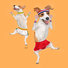 Orange "Jumping Jacks" - Jack Russell Terrier Exercise