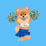 Cheerleading Pomeranian