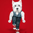 Red "Westie Side Story" - Westie on stage caught in a rumble. Doing a snap dance