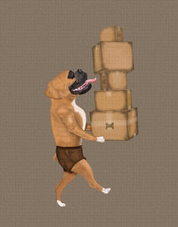 Brown Boxer delivering some packages for the Dog Parcel Service