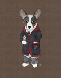 Brown Cardigan Corgi getting ready to graduate from the Ivy League.