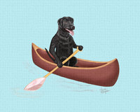 Black Lab paddling in a canoe.