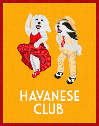 Orange Havanese Club Painting - Canine Musical Freestyle - Art Deco