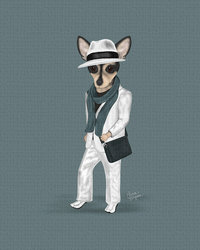 Boy Chihuahua in a fedora and a suit. A real trendsetter fashion dog.