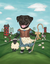 Blue Staffordshire Terrier watching over the flock of sheep