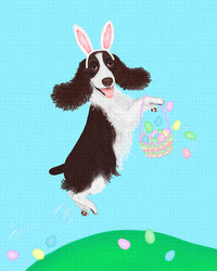 Springer Spaniel on an Easter Egg Hunt