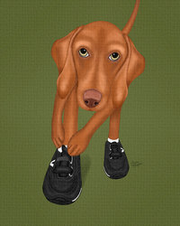 Green painting of a Vizsla getting ready for sport. Put on those Velcro shoes!