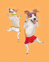 Orange "Jumping Jacks" - Jack Russell Terrier Exercise