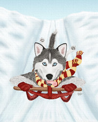 Husky Sled dog barreling down the slopes on a red rider.