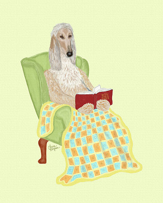 Afghan hound reading a book with a blanket.