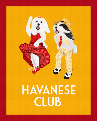 Orange Havanese Club Painting - Canine Musical Freestyle - Art Deco