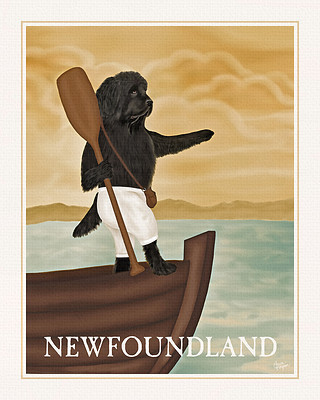 Black Newfoundland Exploring on a boat