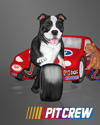 Pit Bull changing the tire in a Nascar Pit Crew
