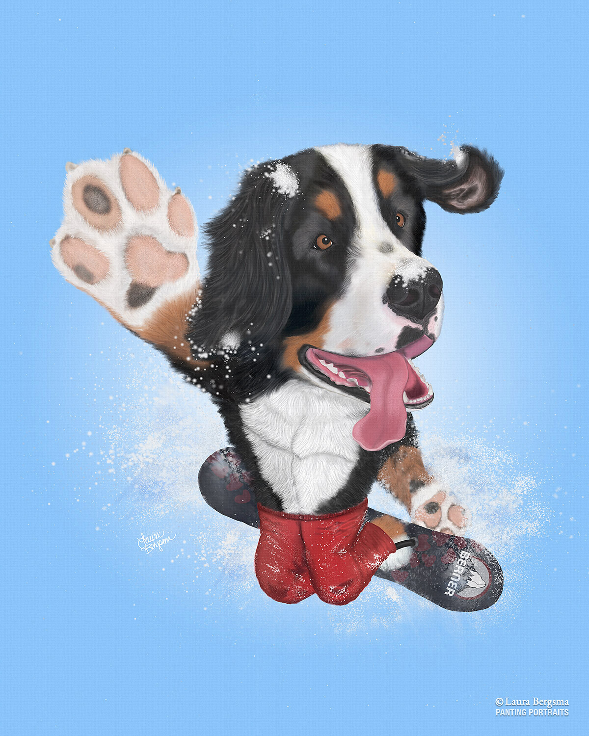 Bernese Mountain Dog Riding a Snowboard