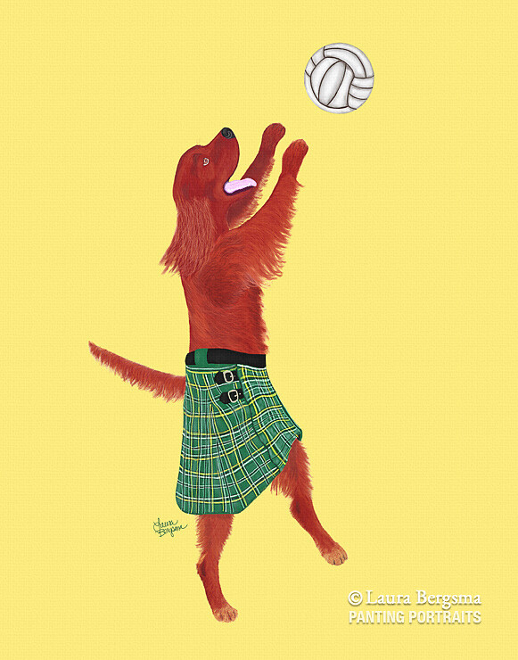 Irish Setter Playing Beach Volleyball