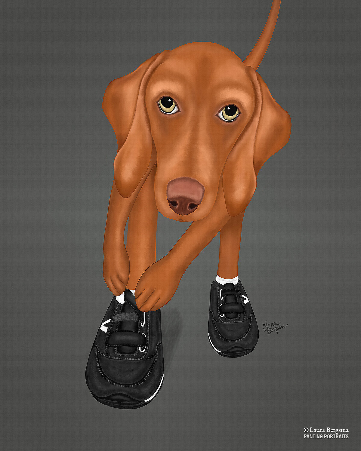 Gray painting of a Vizsla getting ready for sport. Put on those Velcro shoes!