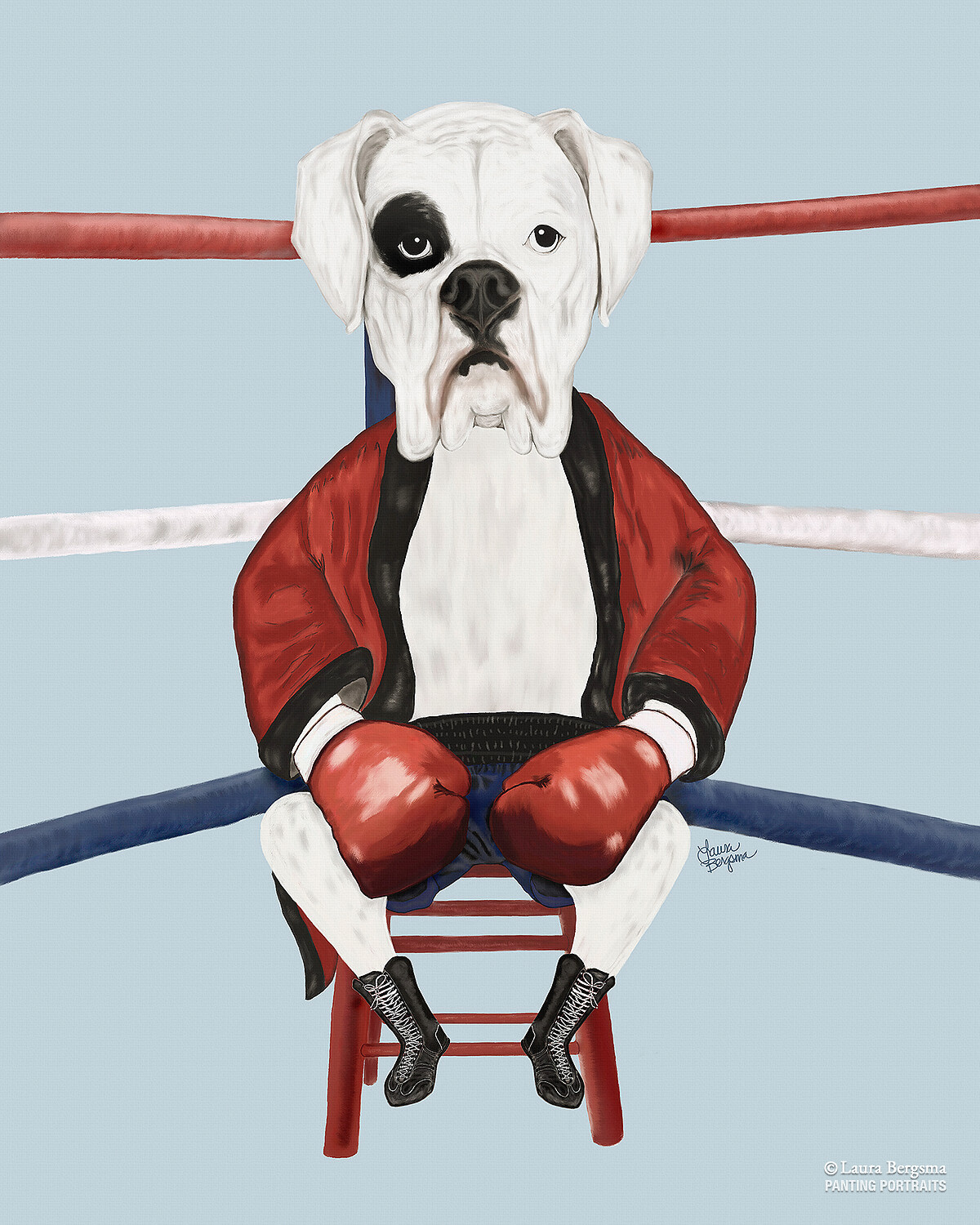 White Boxer in the ring. Sitting in the red corner.